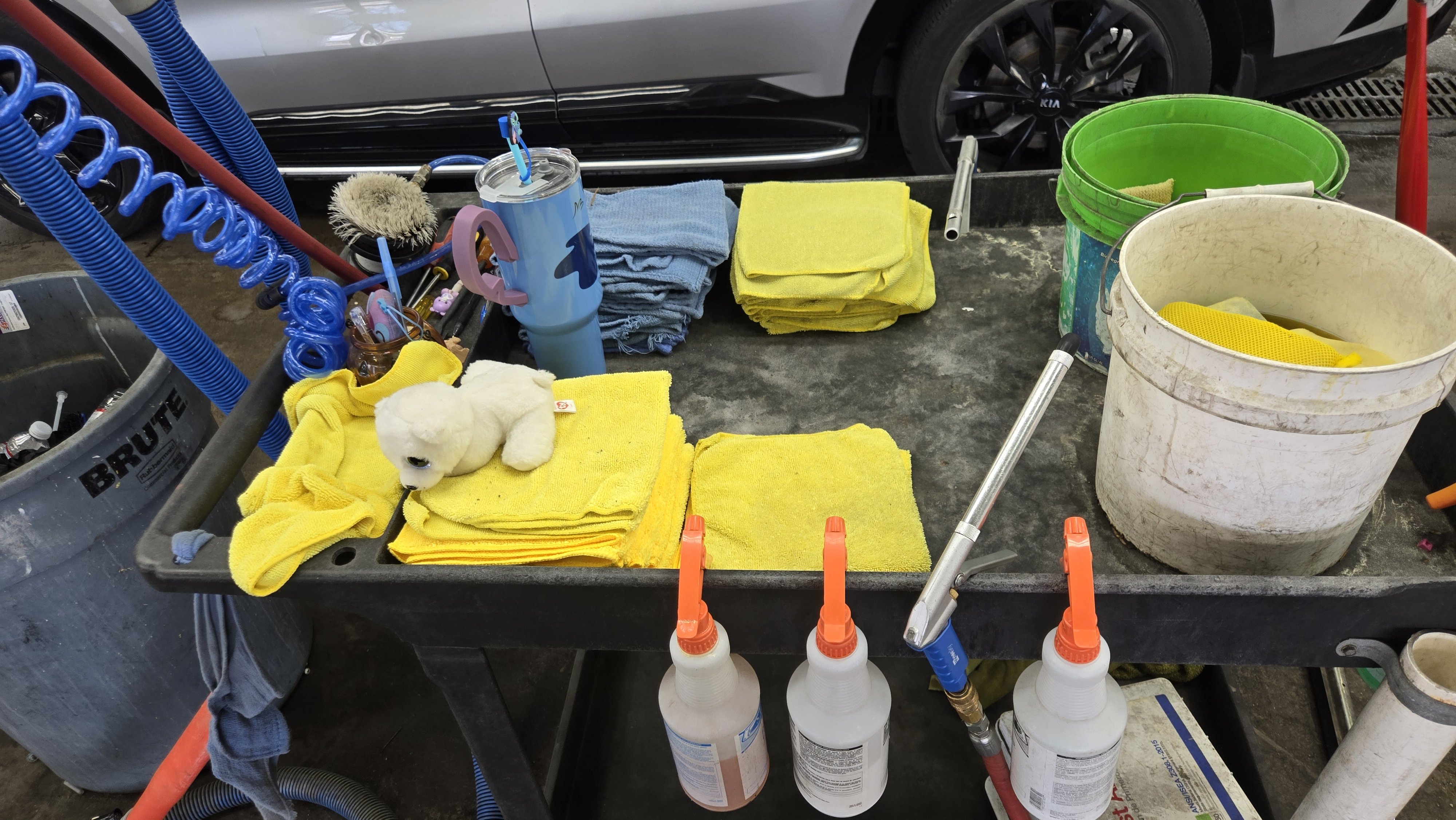 CFAA - Central Florida North