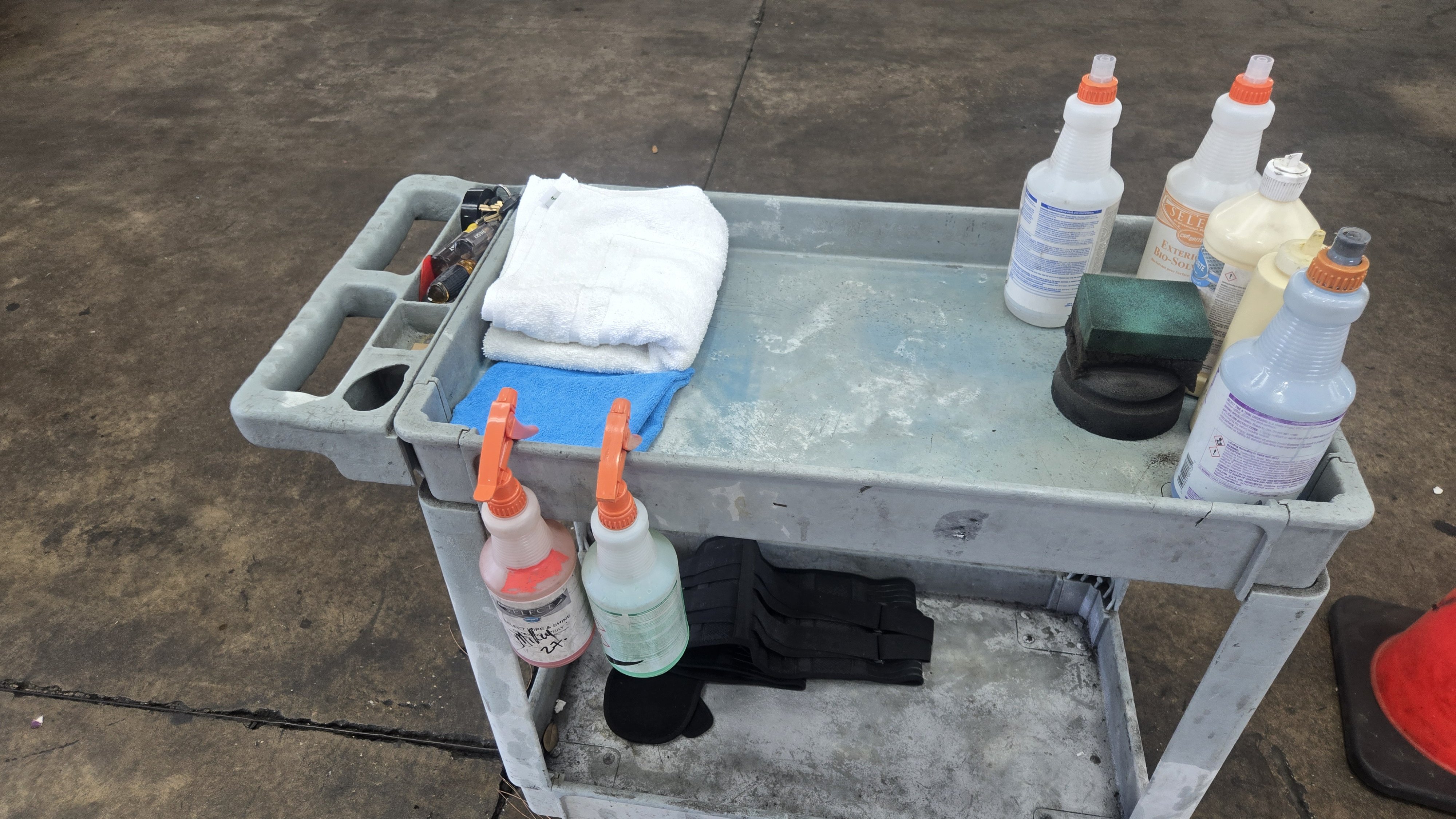 CFAA - Central Florida North