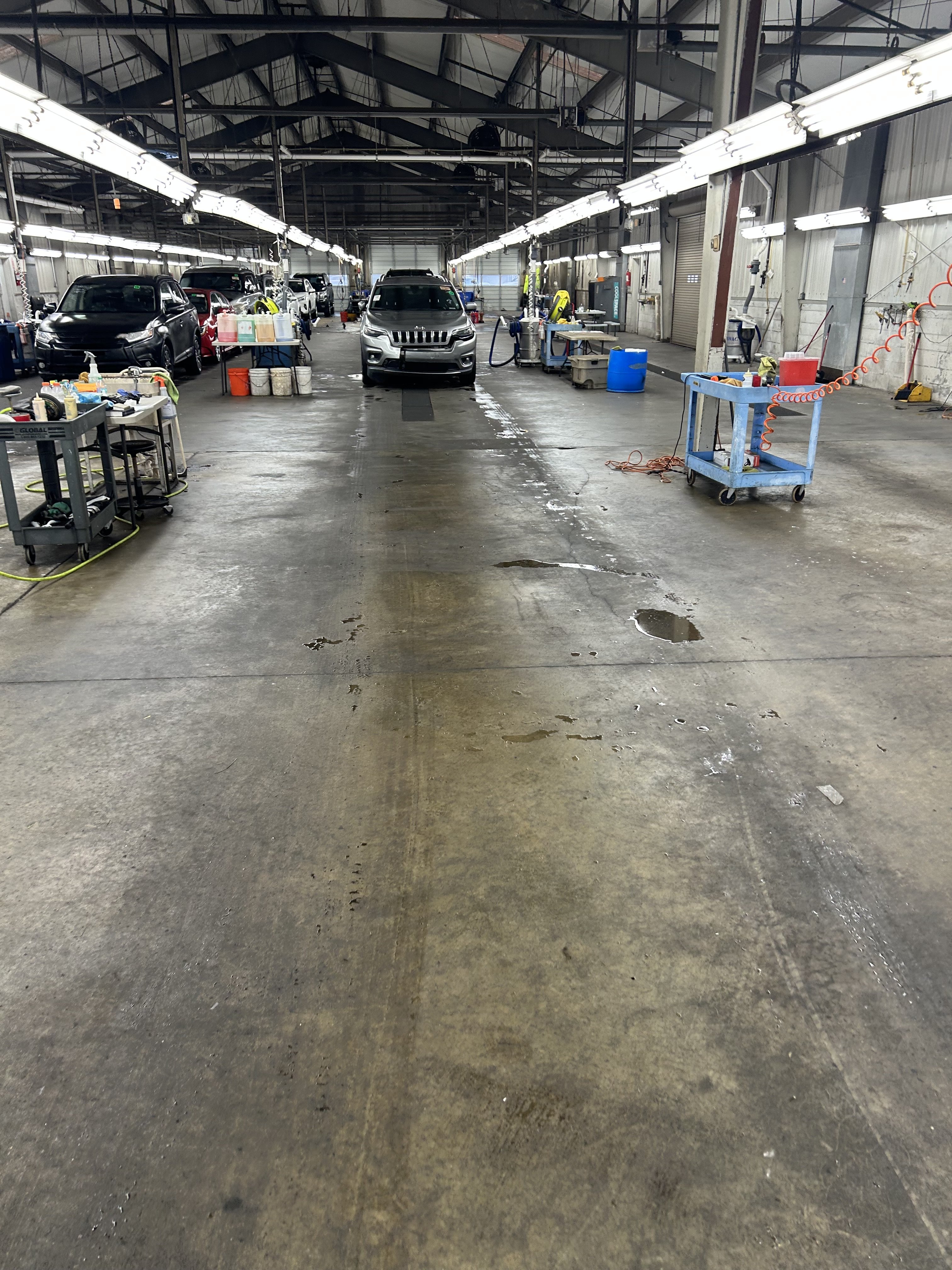 CAAI - South Carolina